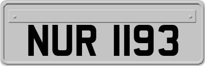NUR1193