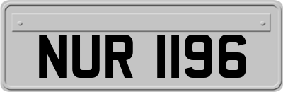 NUR1196