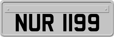NUR1199