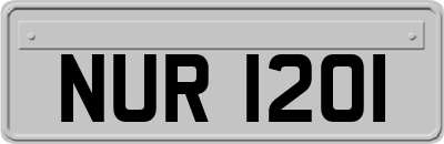 NUR1201
