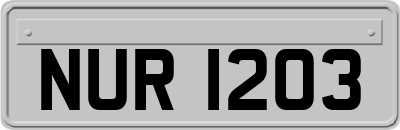 NUR1203