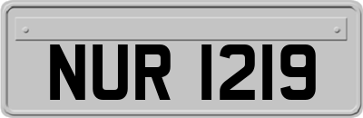 NUR1219