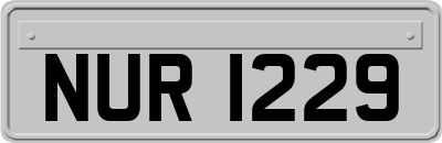 NUR1229