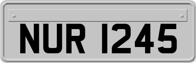 NUR1245