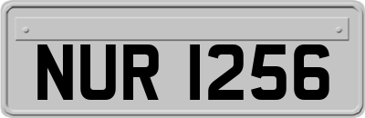 NUR1256