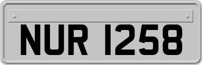 NUR1258