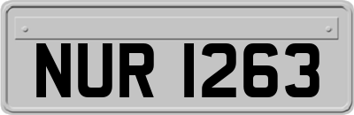 NUR1263