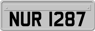NUR1287