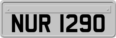 NUR1290
