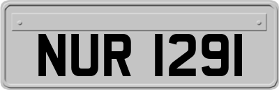 NUR1291