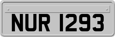 NUR1293