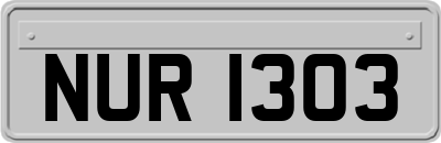 NUR1303