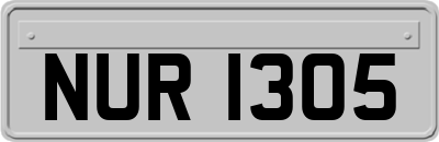 NUR1305