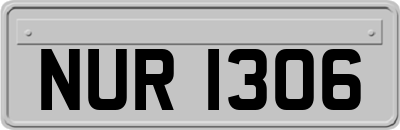 NUR1306