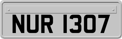 NUR1307