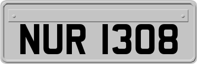 NUR1308