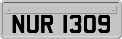 NUR1309