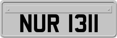 NUR1311