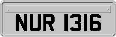 NUR1316