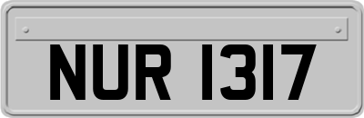 NUR1317