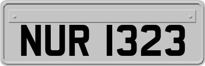 NUR1323