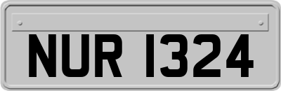 NUR1324
