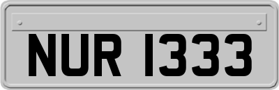 NUR1333