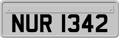 NUR1342