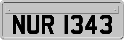 NUR1343