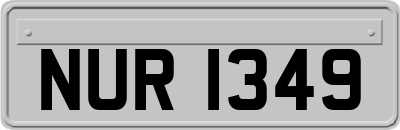 NUR1349