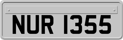 NUR1355