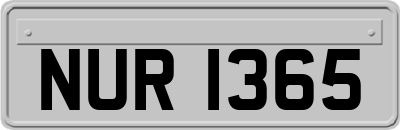 NUR1365
