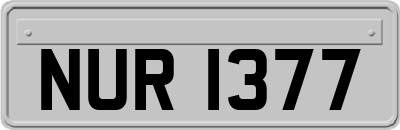 NUR1377