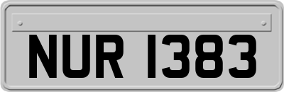 NUR1383