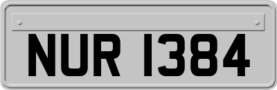 NUR1384