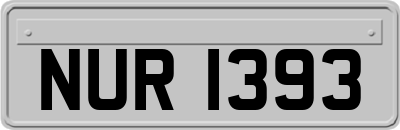 NUR1393