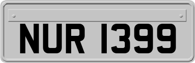 NUR1399