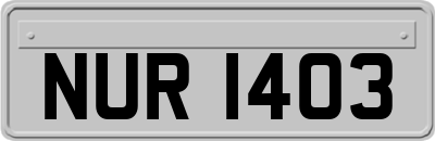 NUR1403