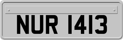NUR1413