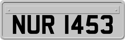 NUR1453