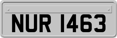 NUR1463