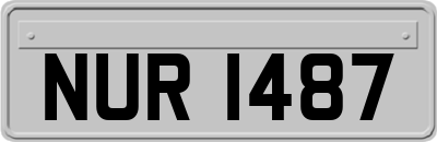 NUR1487