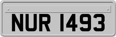 NUR1493