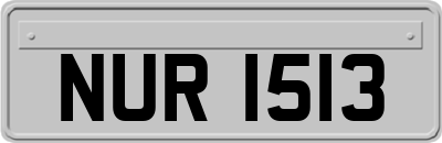 NUR1513
