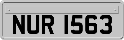 NUR1563