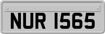 NUR1565