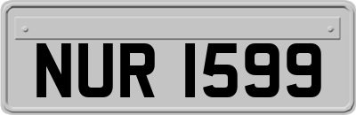 NUR1599