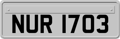 NUR1703
