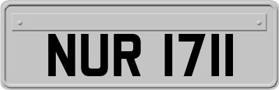 NUR1711