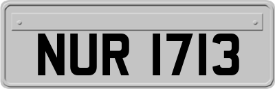 NUR1713